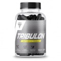 tribulon 120.jpg