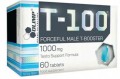 t-100.JPG