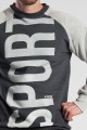 sweatshirt-014-sport-graphite-sw_014_3jpg-ZC.jpg