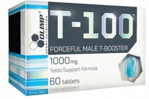 t-100.JPG