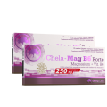 Chela-MagB6_Forte_kartonik_0022_0001 — kopia.png